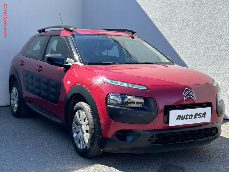 Citron C4 Cactus