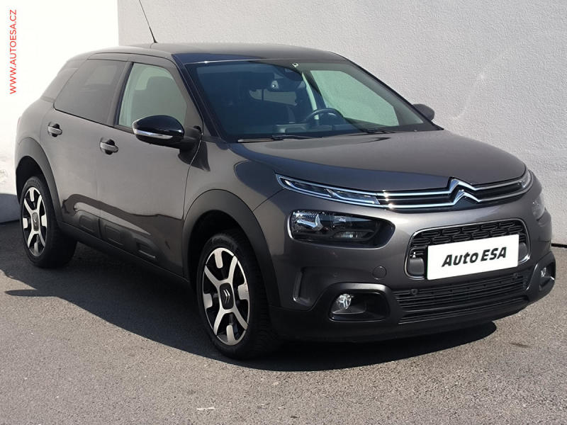 Citron C4 Cactus