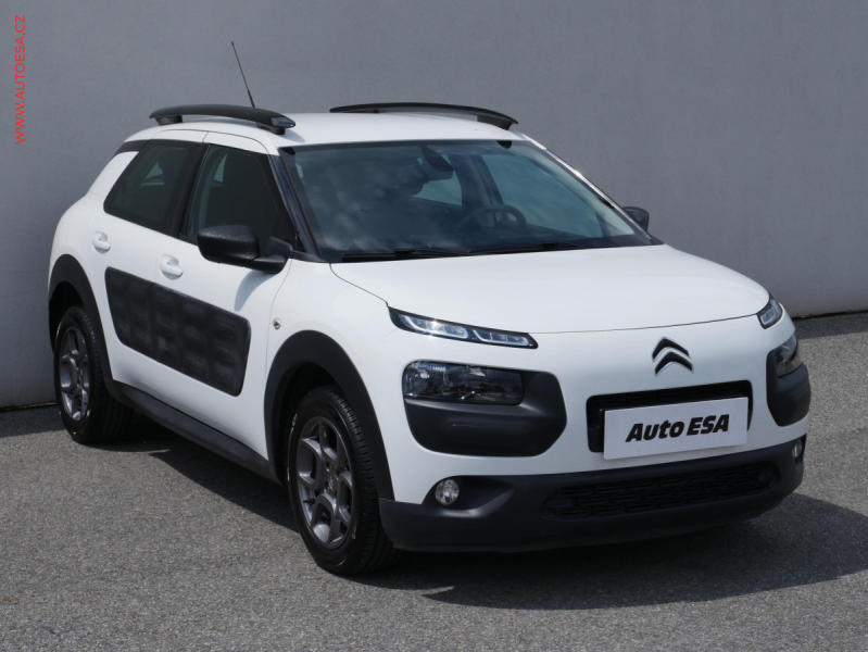 Citron C4 Cactus