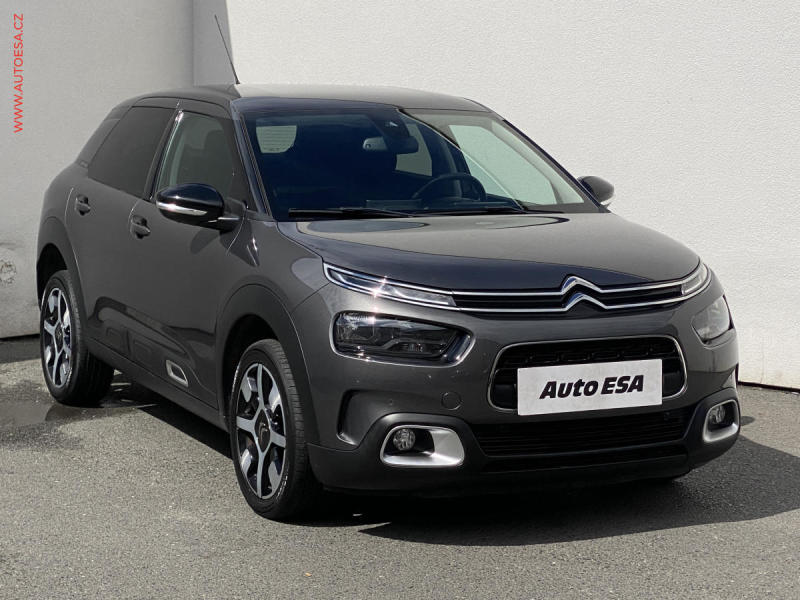 Citron C4 Cactus