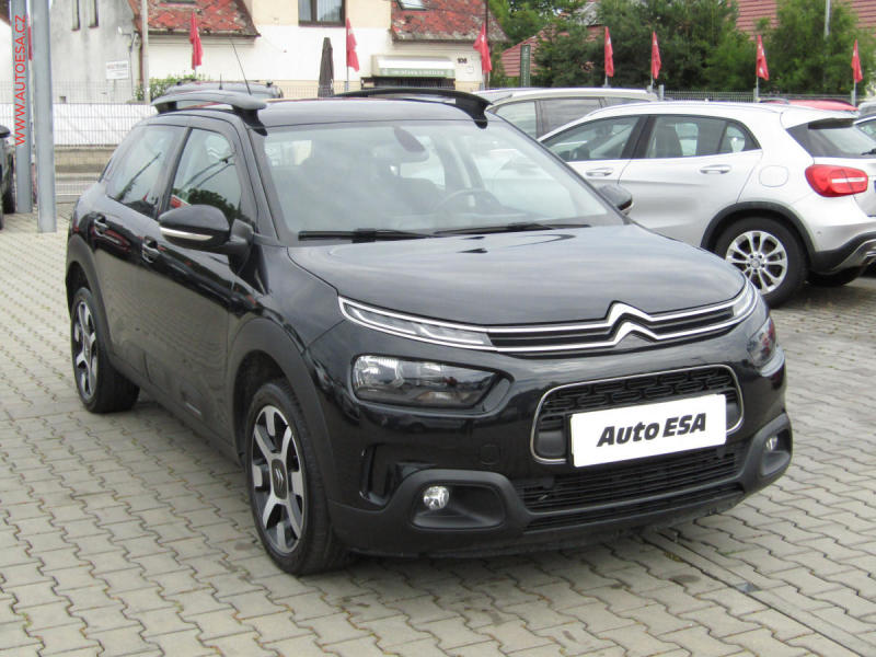 Citron C4 Cactus