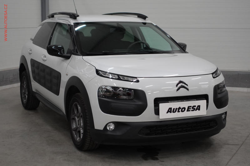 Citron C4 Cactus