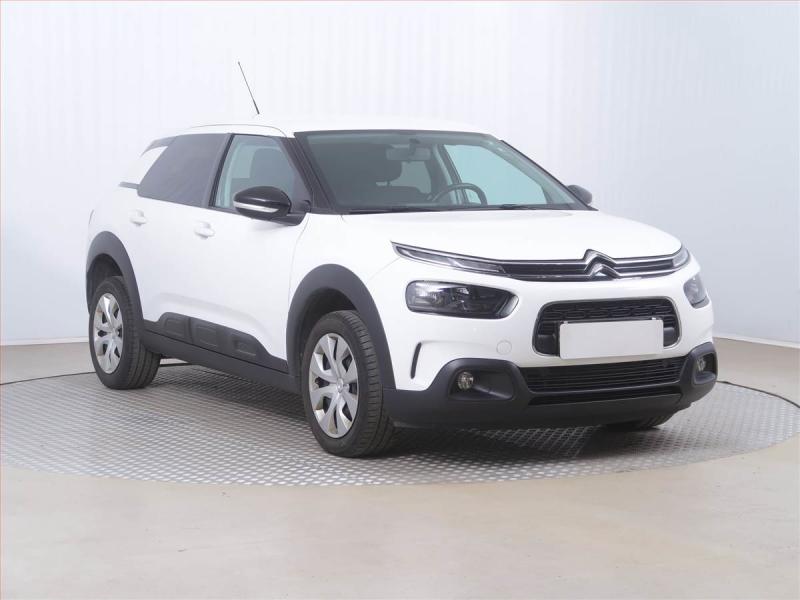 Citron C4 Cactus