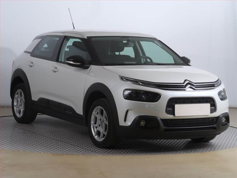 Citron C4 Cactus