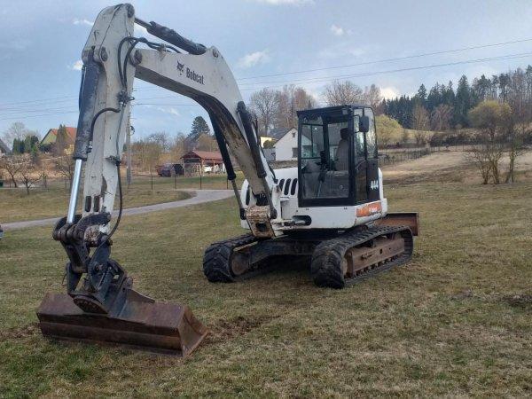 Bobcat