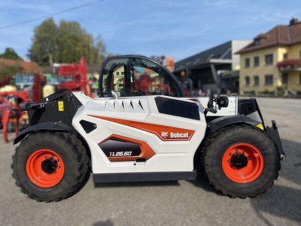 Bobcat