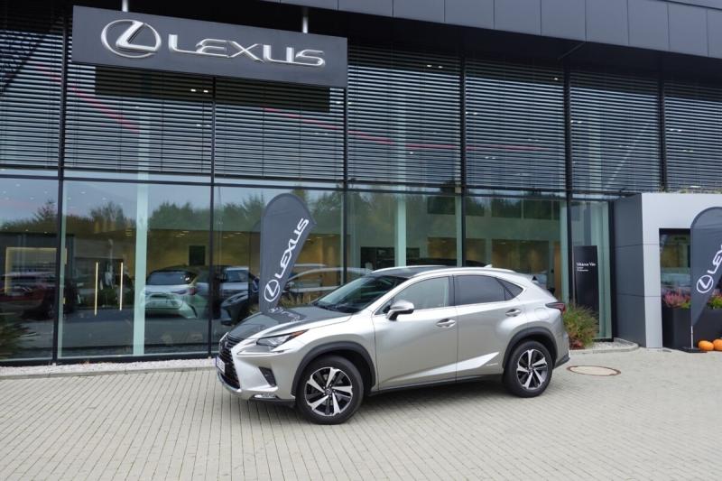 Lexus NX 300h