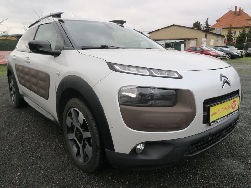 Citron C4 Cactus