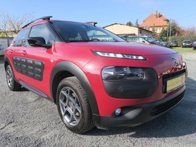 Citron C4 Cactus