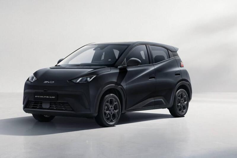 BYD Dolphin Surf