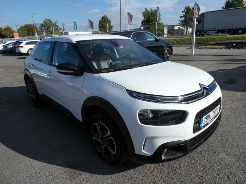 Citron C4 Cactus