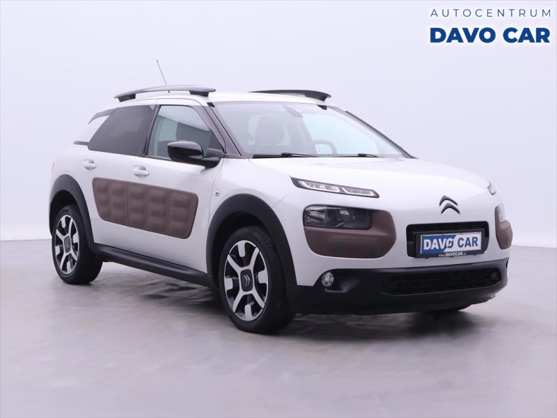 Citron C4 Cactus