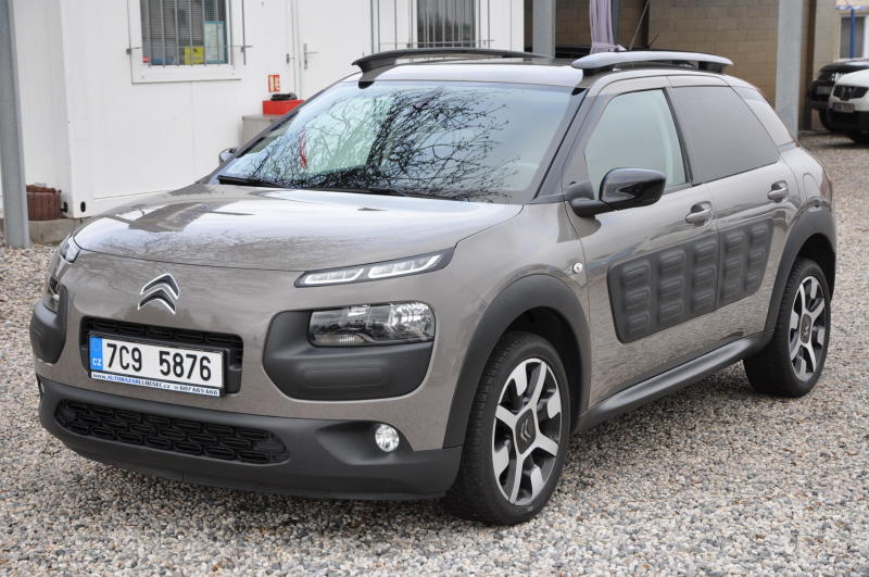 Citron C4 Cactus