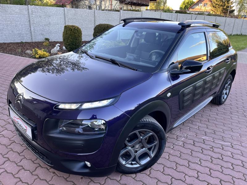 Citron C4 Cactus