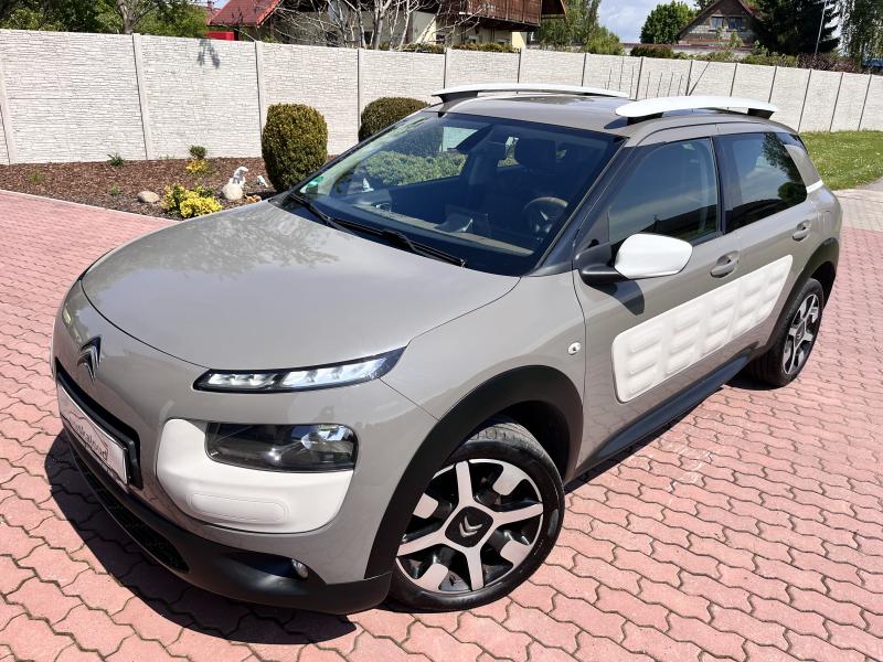 Citron C4 Cactus