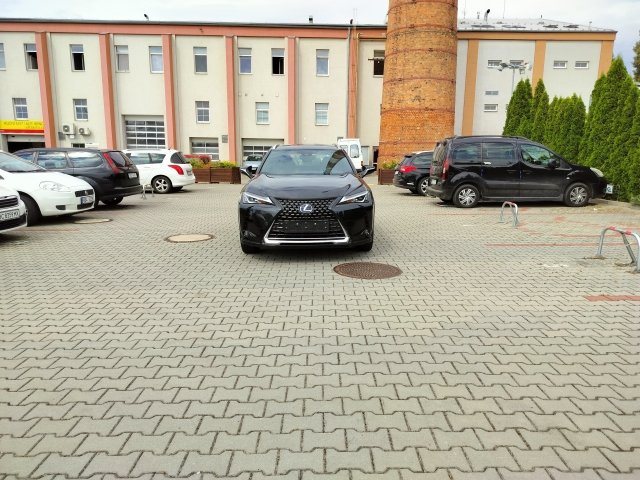 Lexus UX 250h