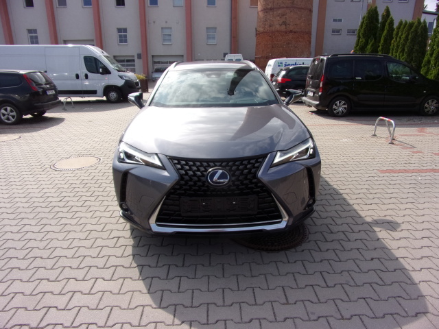 Lexus UX 250h