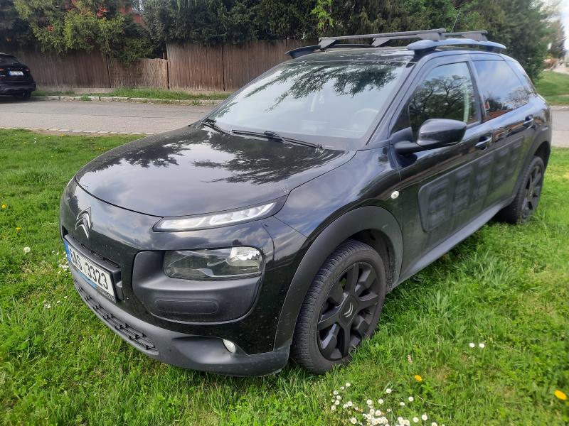 Citron C4 Cactus