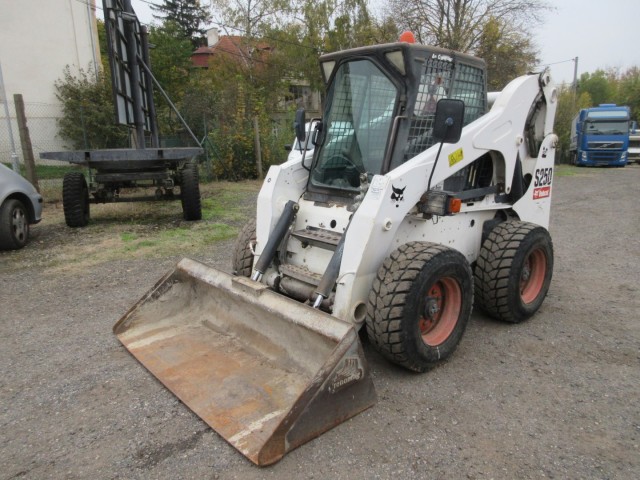 Bobcat