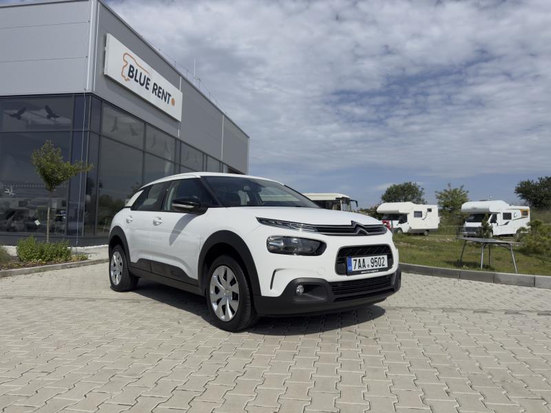 Citron C4 Cactus