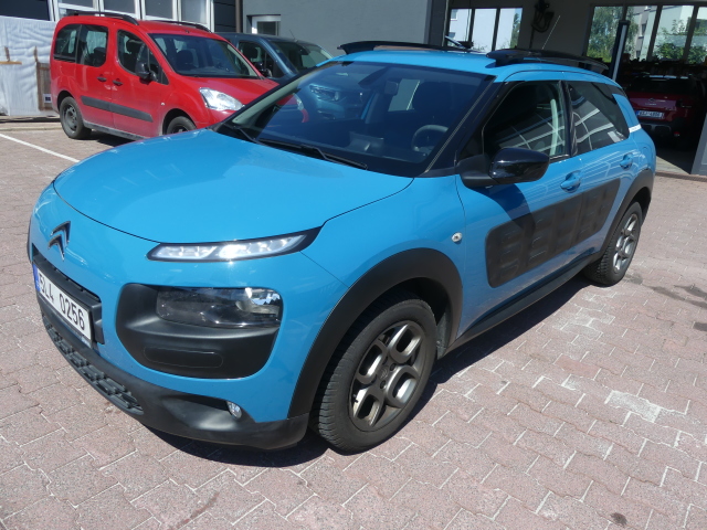 Citron C4 Cactus