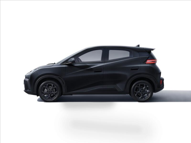 BYD Dolphin Surf