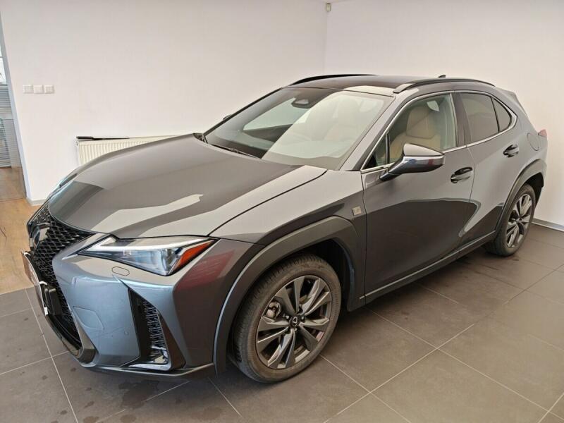 Lexus UX 300h