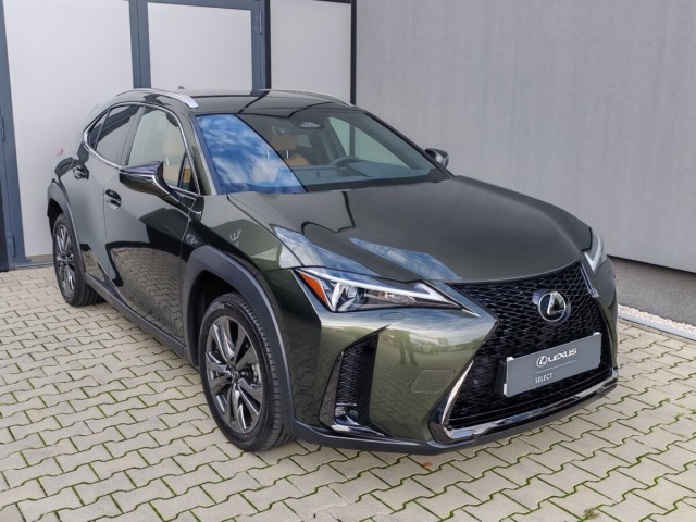 Lexus UX 300h