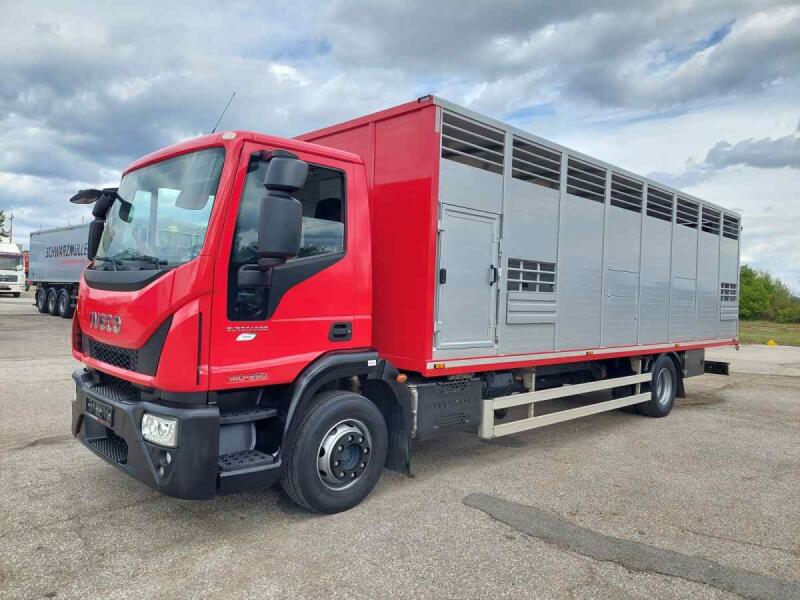 Iveco