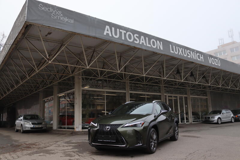 Lexus UX 250h