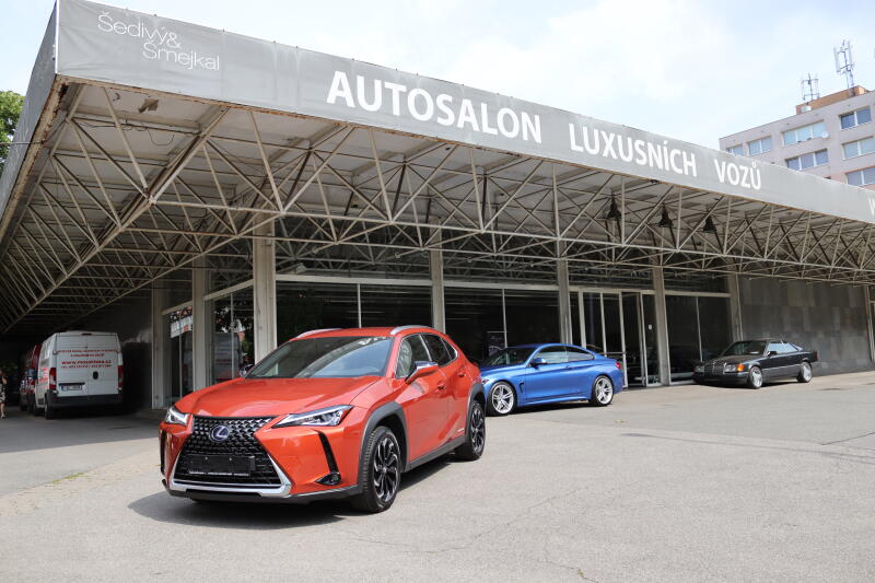 Lexus UX 250h