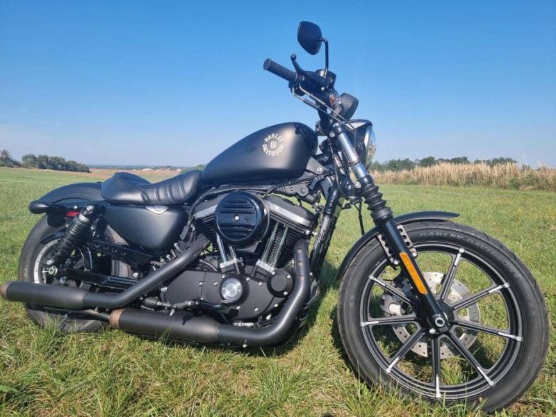 Harley-Davidson XL 883N Sportster Iron