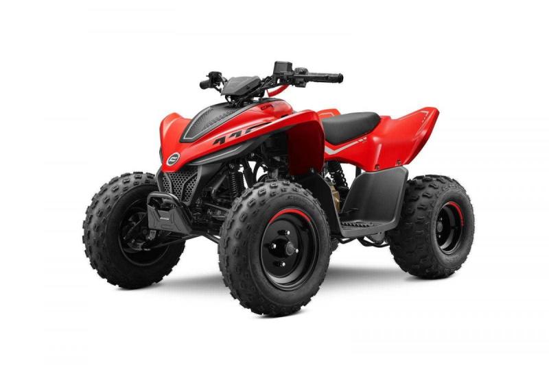 CFMOTO Gladiator X110