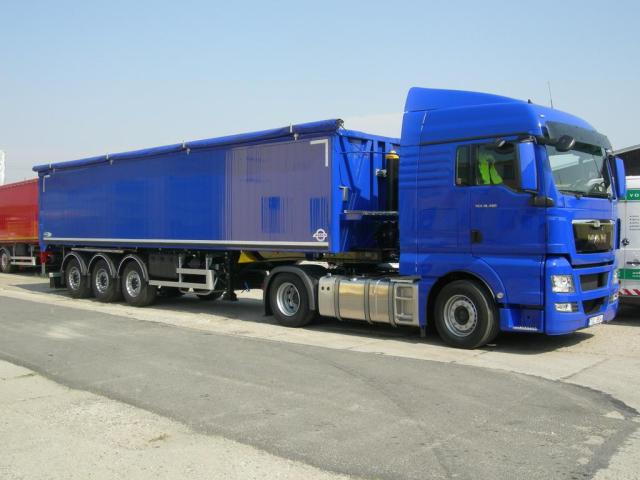 BODEX