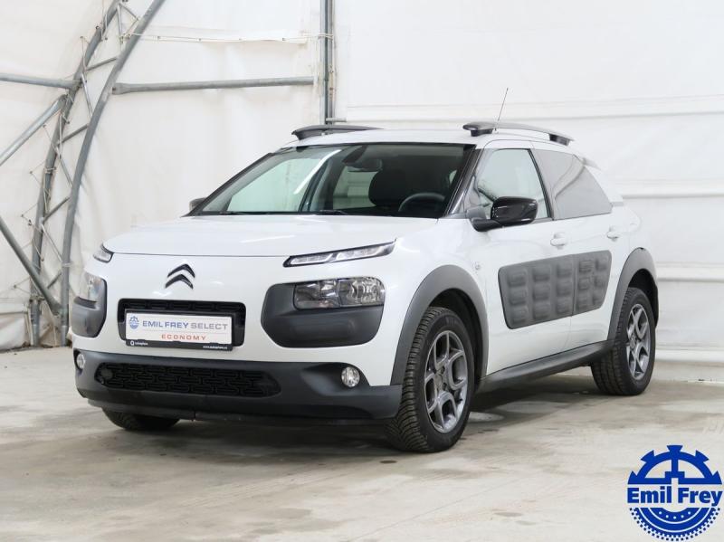 Citron C4 Cactus