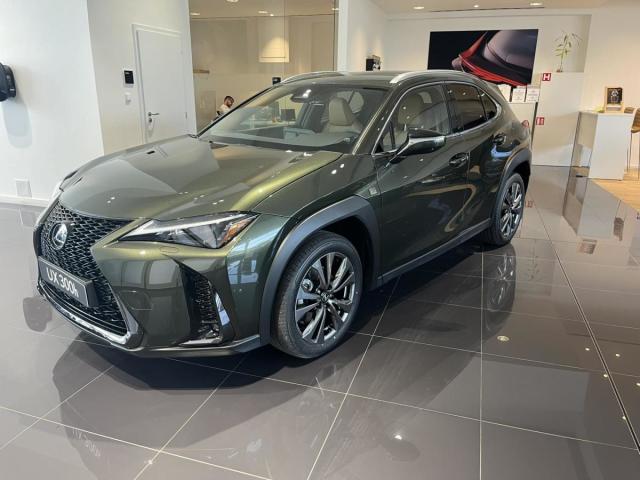 Lexus UX 300e