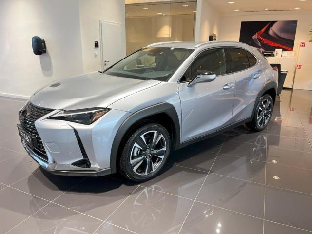 Lexus UX 300e