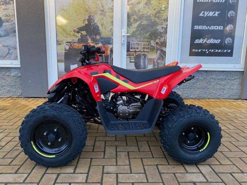 CFMOTO Gladiator X110