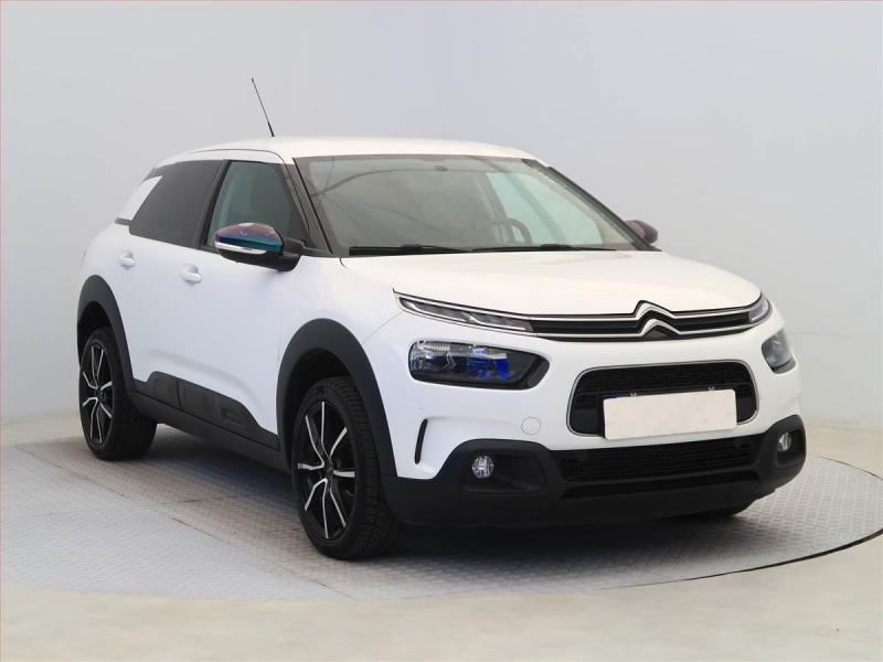 Citron C4 Cactus