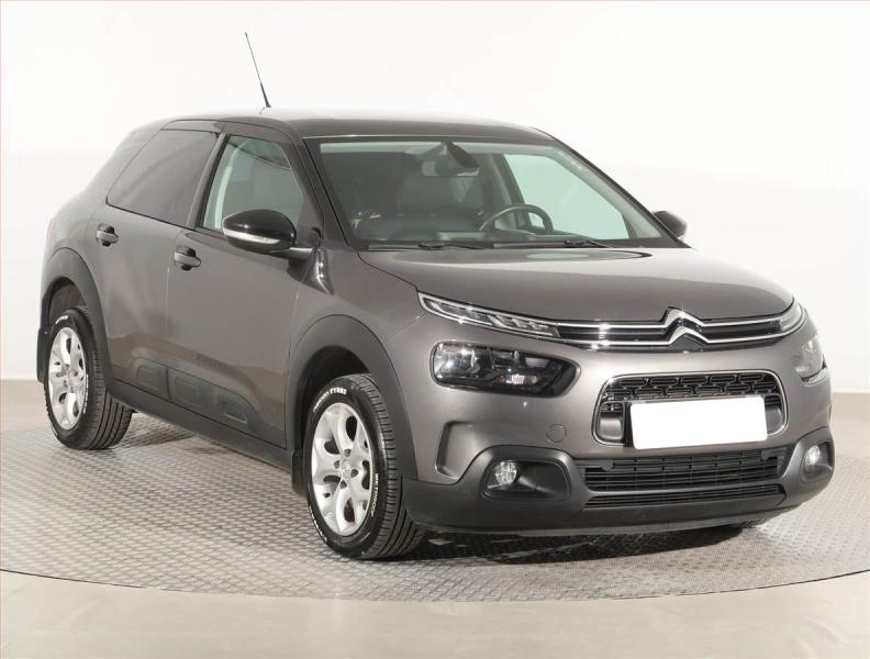 Citron C4 Cactus