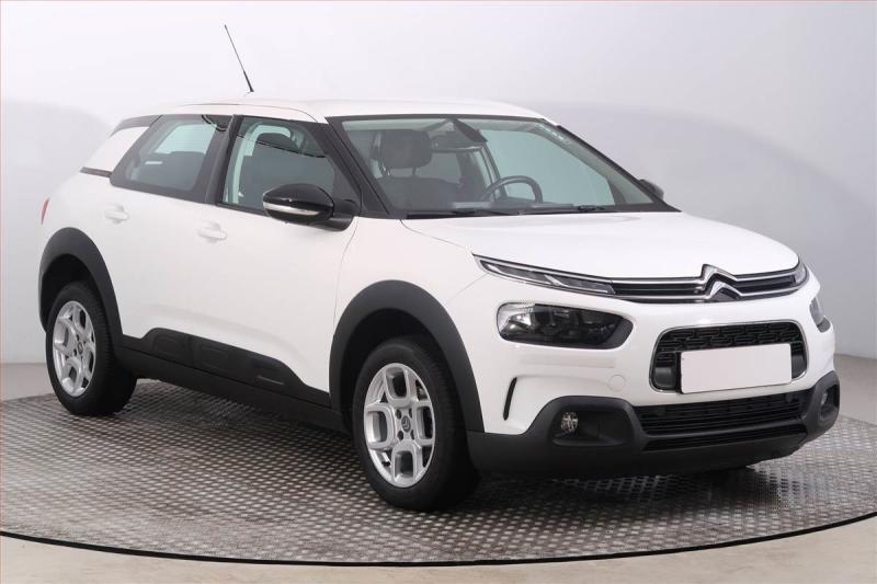 Citron C4 Cactus
