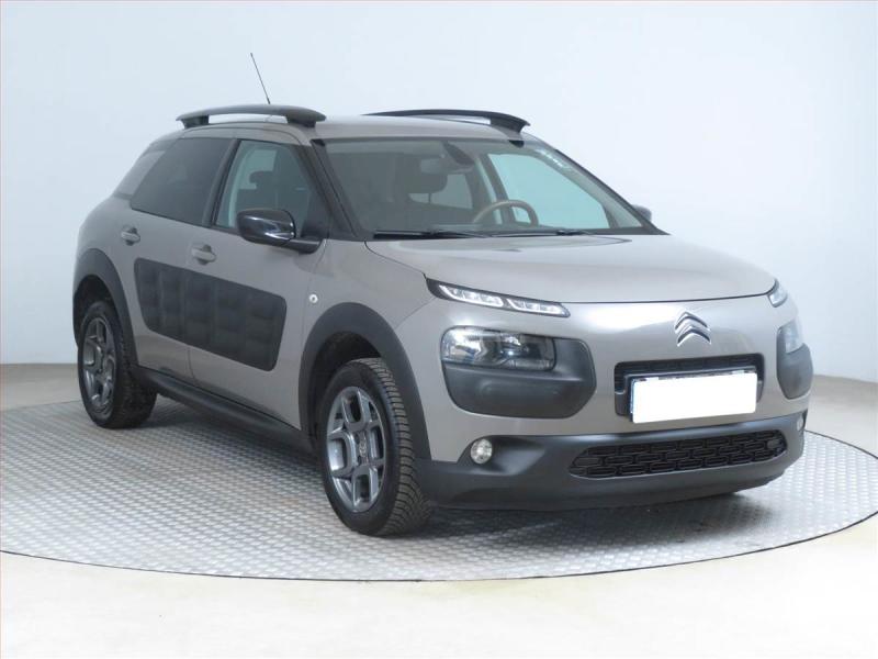 Citron C4 Cactus
