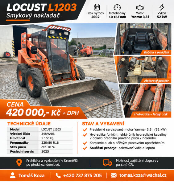 Locust