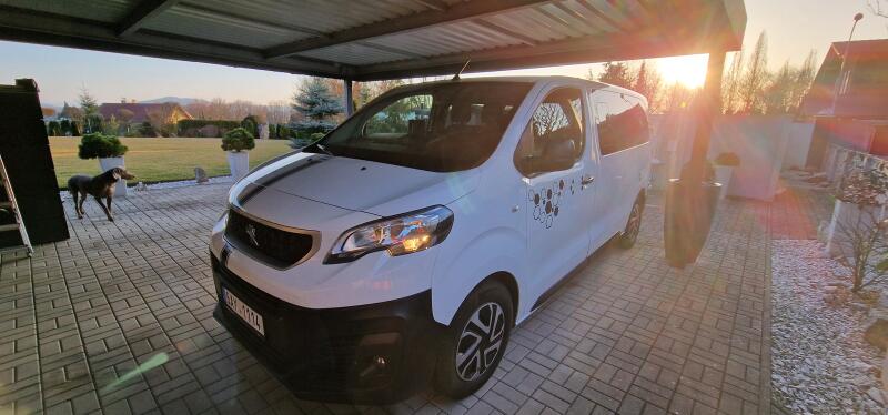 Peugeot Expert