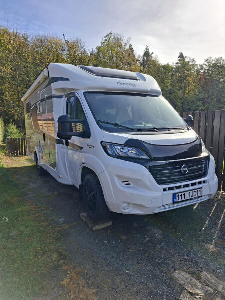 Carado