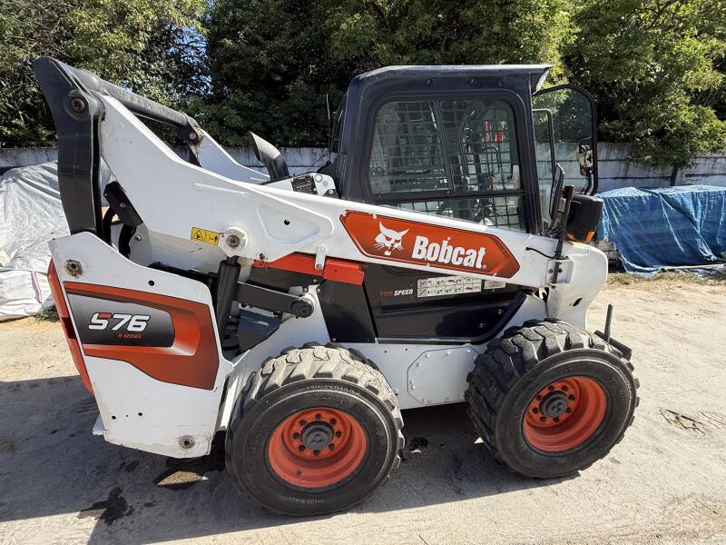 Bobcat