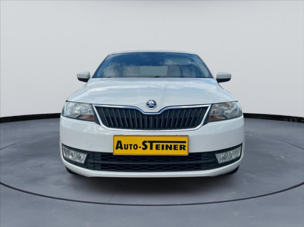 Škoda Rapid 1,6 TDI, 1.Maj, Servisní kniha - detail fotky 1