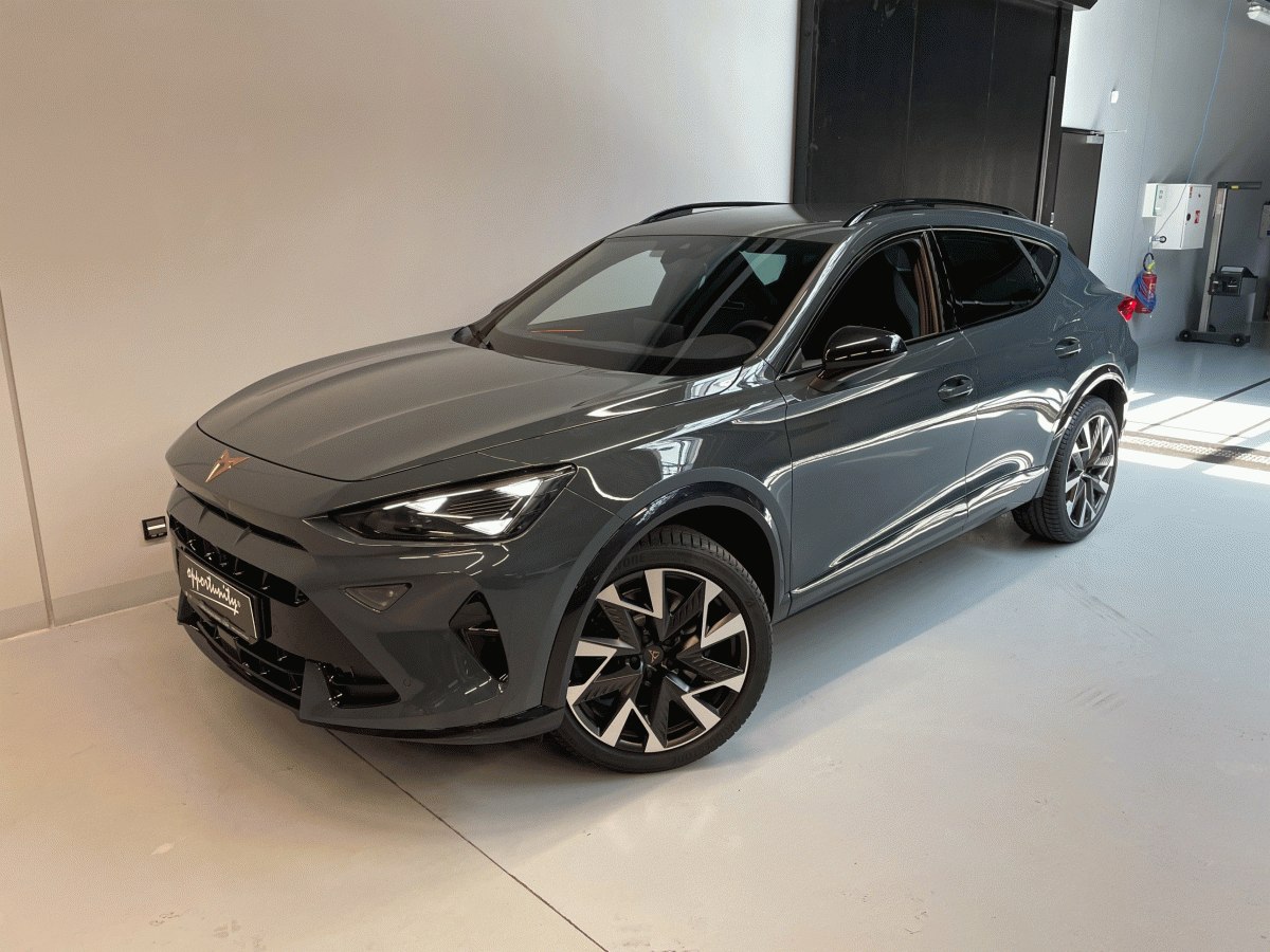Cupra Formentor VZ 2.0 TSI 265 DSG