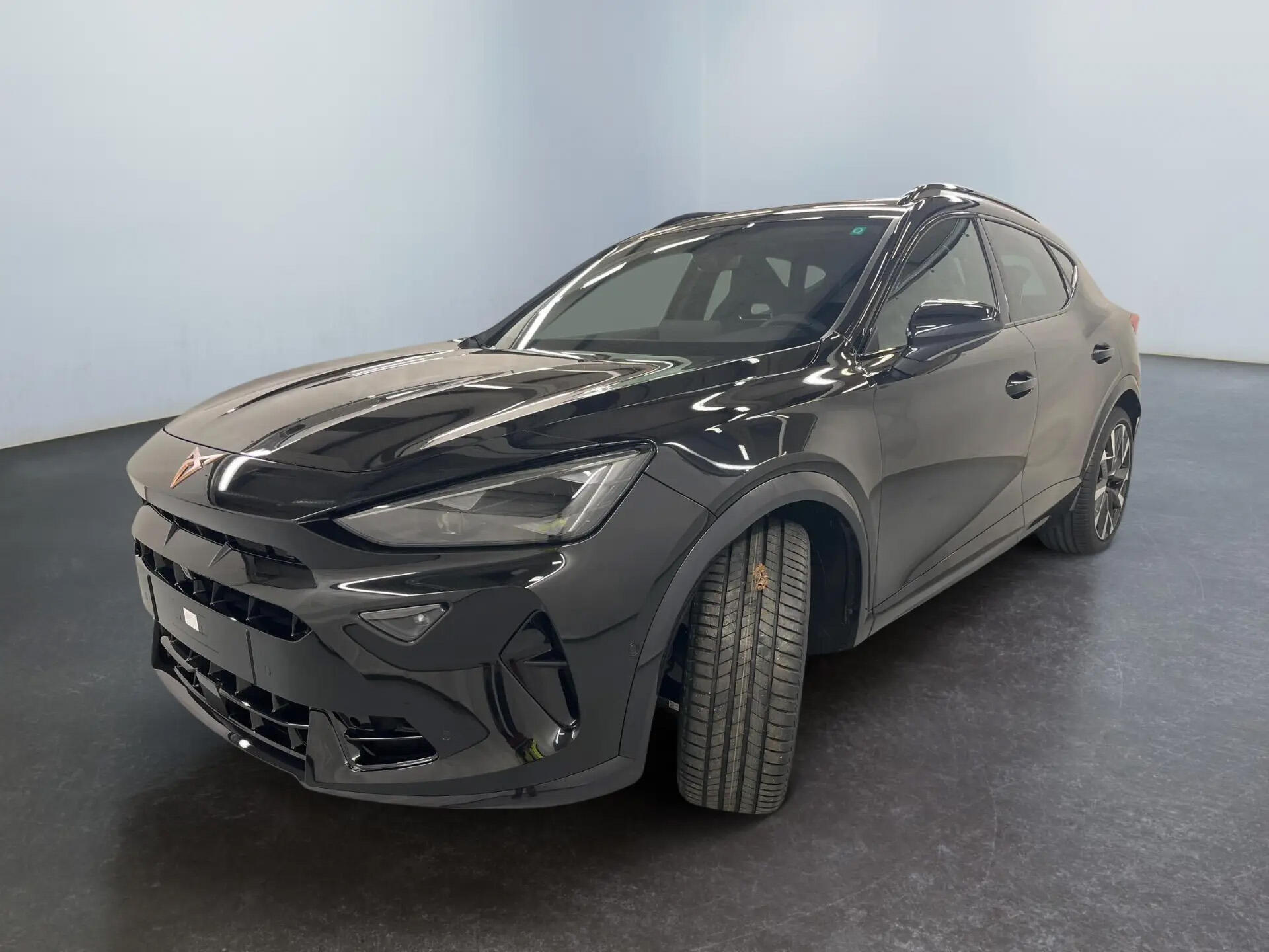 Cupra Formentor VZ 4x4 245 kW Pano Matrx Imme