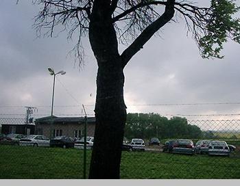 Foto AUTO BZONEK - mezi Blovcem a Studnkou